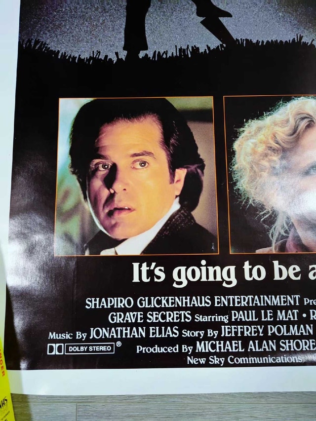Vintage 1989 Grave Secrets Promo Poster - photo 4