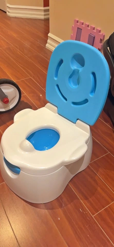 Kids Potty Training Toilet and step stool
