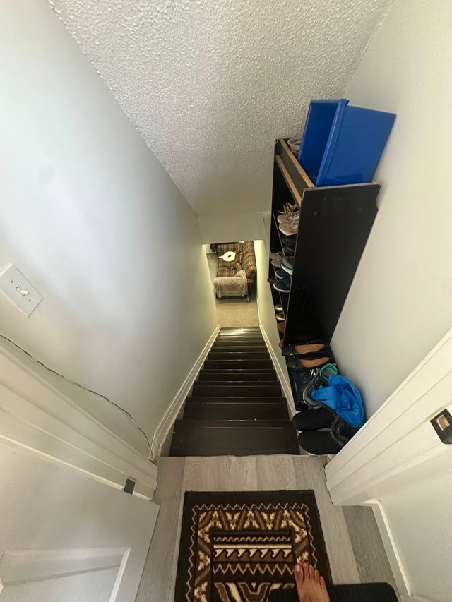 Basement for rent - photo 2