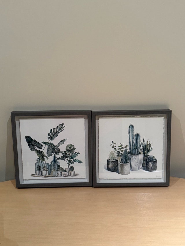 Marmont Hill Framed Botanical Succulent Art Prints - Set of 2