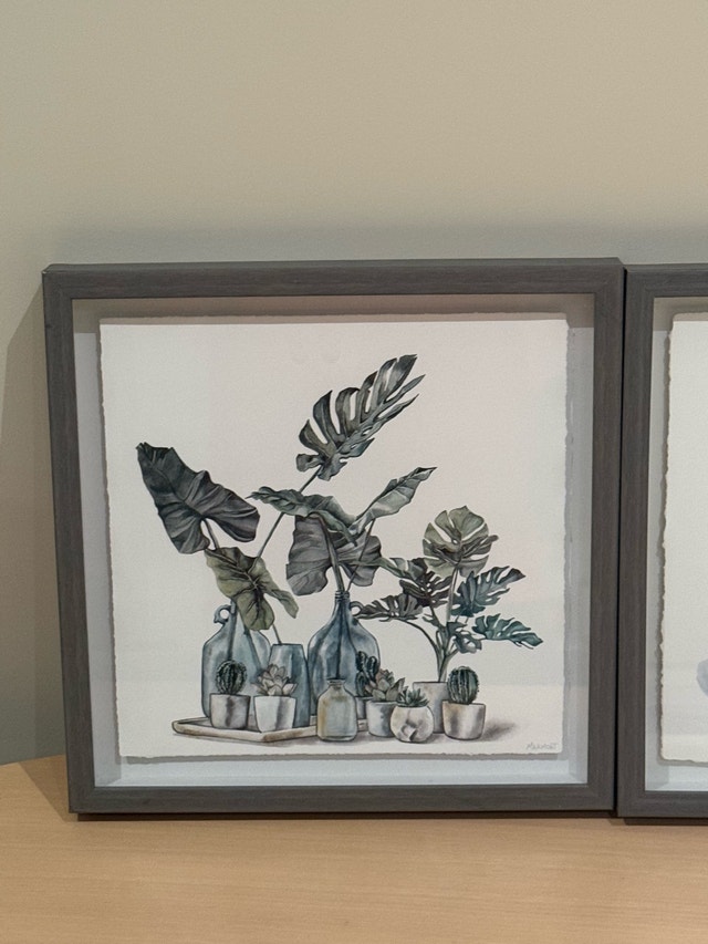 Marmont Hill Framed Botanical Succulent Art Prints - Set of 2 - photo 3