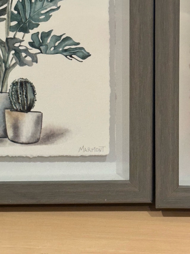Marmont Hill Framed Botanical Succulent Art Prints - Set of 2 - photo 4