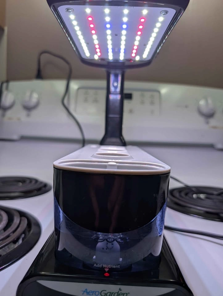 AeroGarden Sprout 3-Pod Hydroponic Garden - photo 2