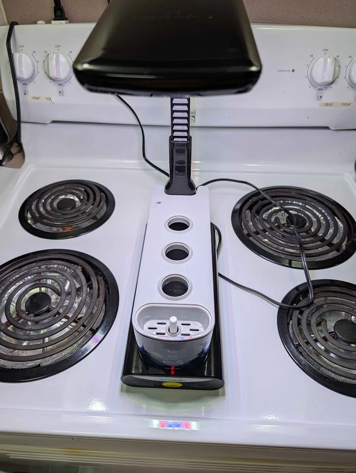 AeroGarden Sprout 3-Pod Hydroponic Garden - photo 5