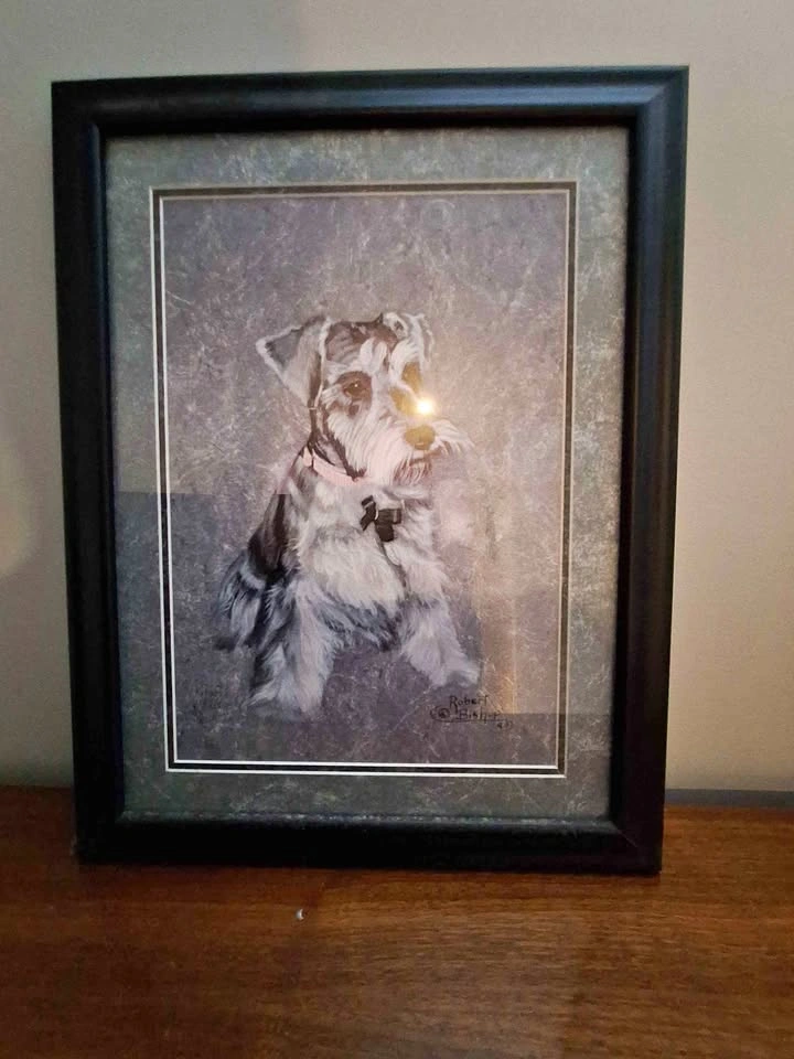 Vintage Signed Robert Bishop Framed Dog Print – Schnauzer