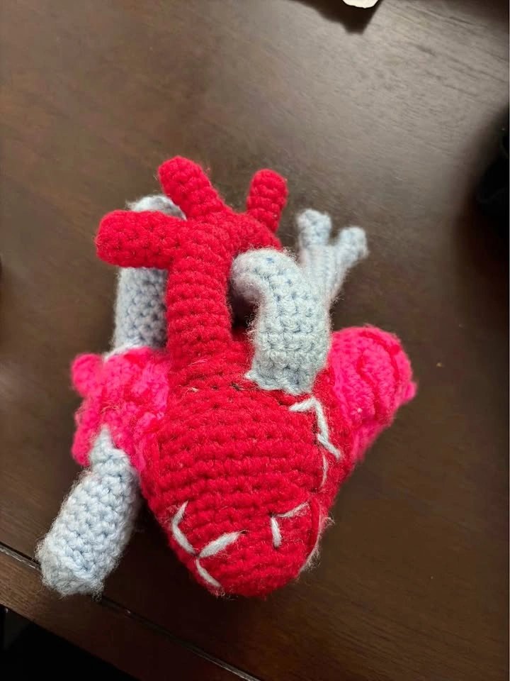 Handmade Crochet Anatomical Heart