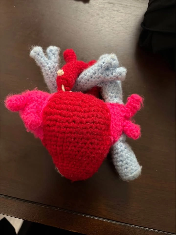 Handmade Crochet Anatomical Heart - photo 2