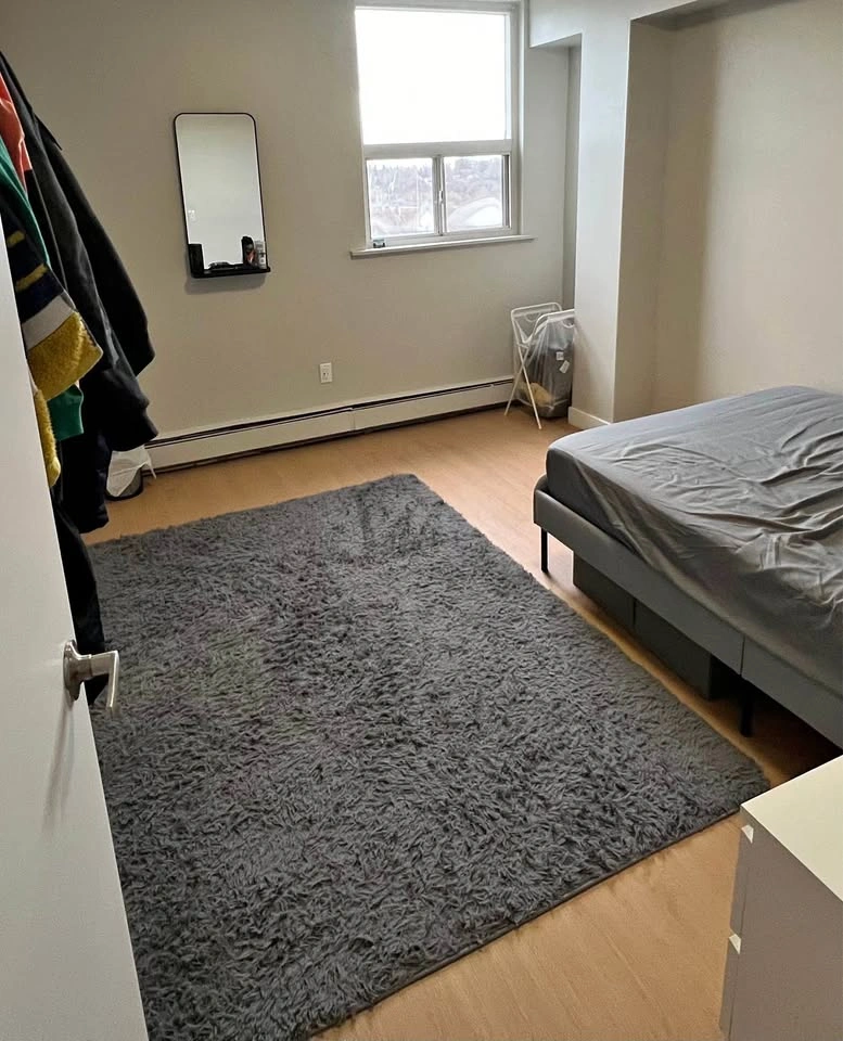 Dark Grey Fluffy Shag Area Rug