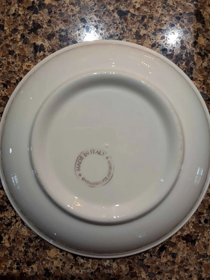 Italian Magnolia Floral Pasta Bowls - Set of 10 - photo 3