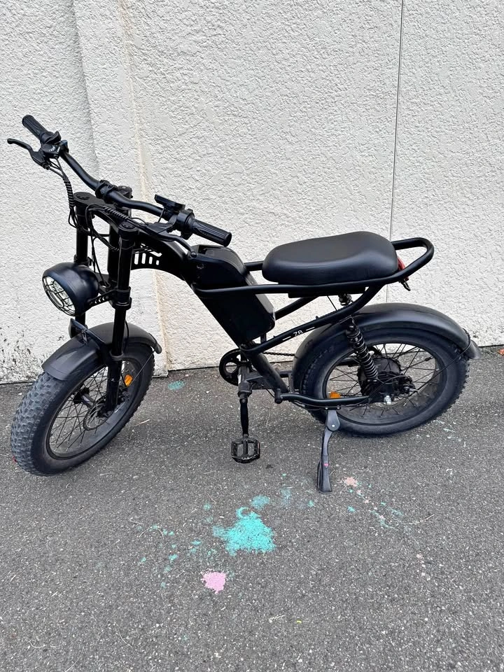 Riding’times Z8 Electric Bike – 630 KM