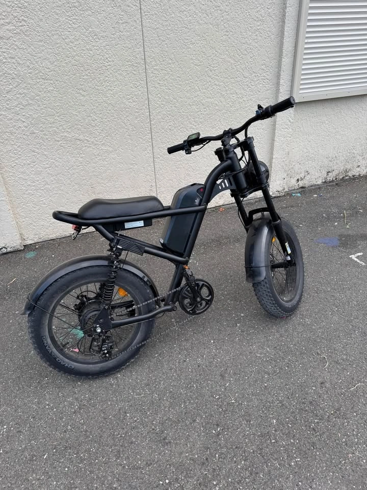 Riding’times Z8 Electric Bike – 630 KM - photo 2