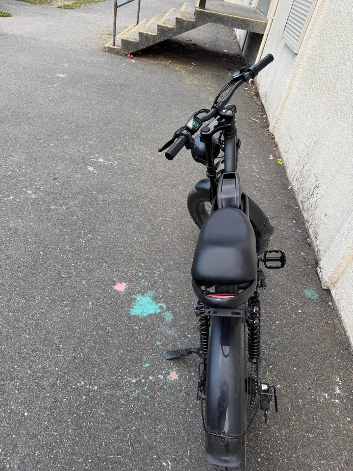 Riding’times Z8 Electric Bike – 630 KM - photo 3