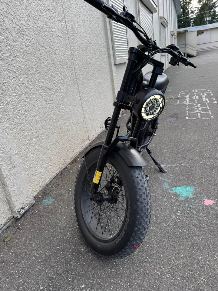 Riding’times Z8 Electric Bike – 630 KM - photo 4