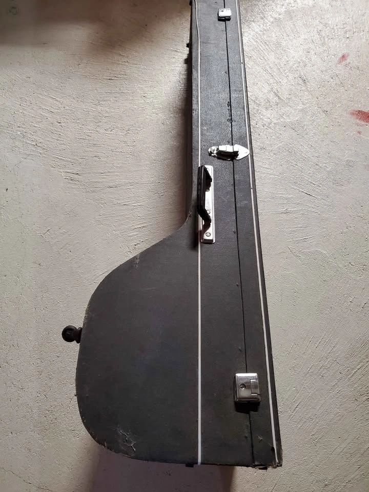 Traditional Indian Sitar with Hard Case - photo 3