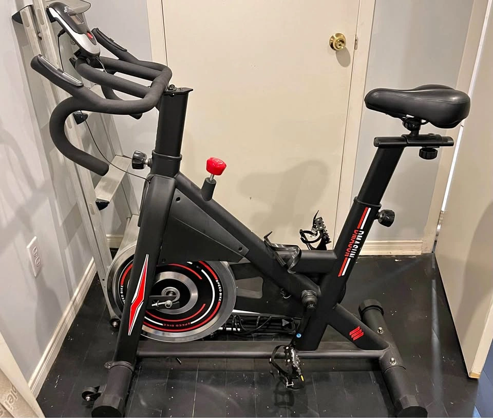 DMASUN Exercise Bike
