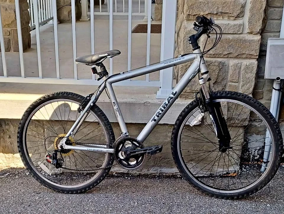 Tribal Bicycle