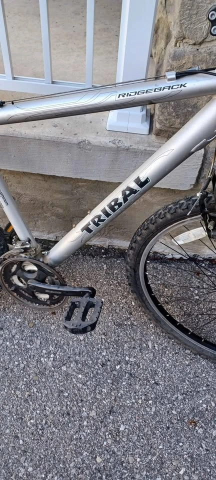 Tribal Bicycle - photo 2
