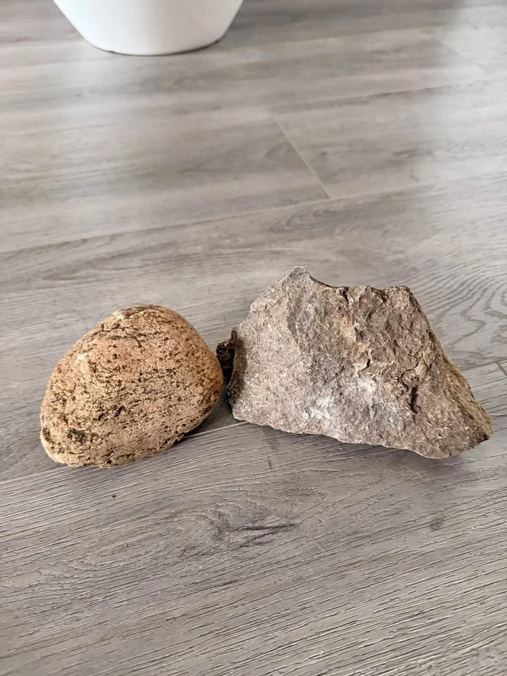 Aquarium Rocks