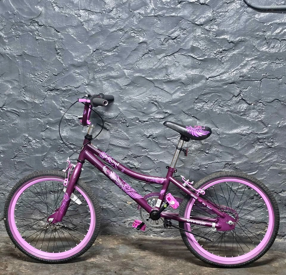 20-inch Bicycle