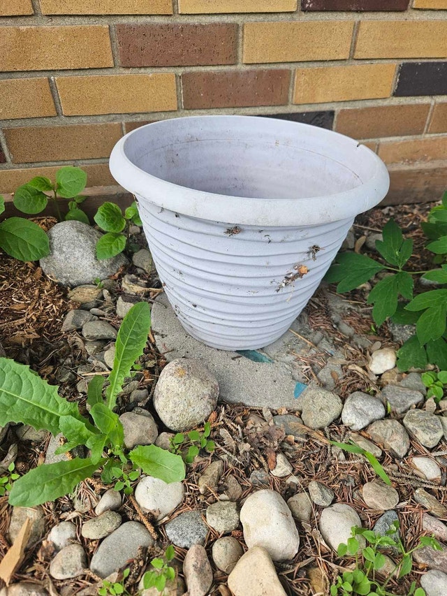 Outdoor Planter - photo 4