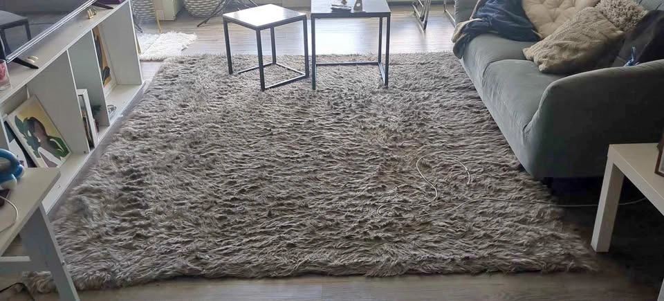 Large Shaggy Area Rug