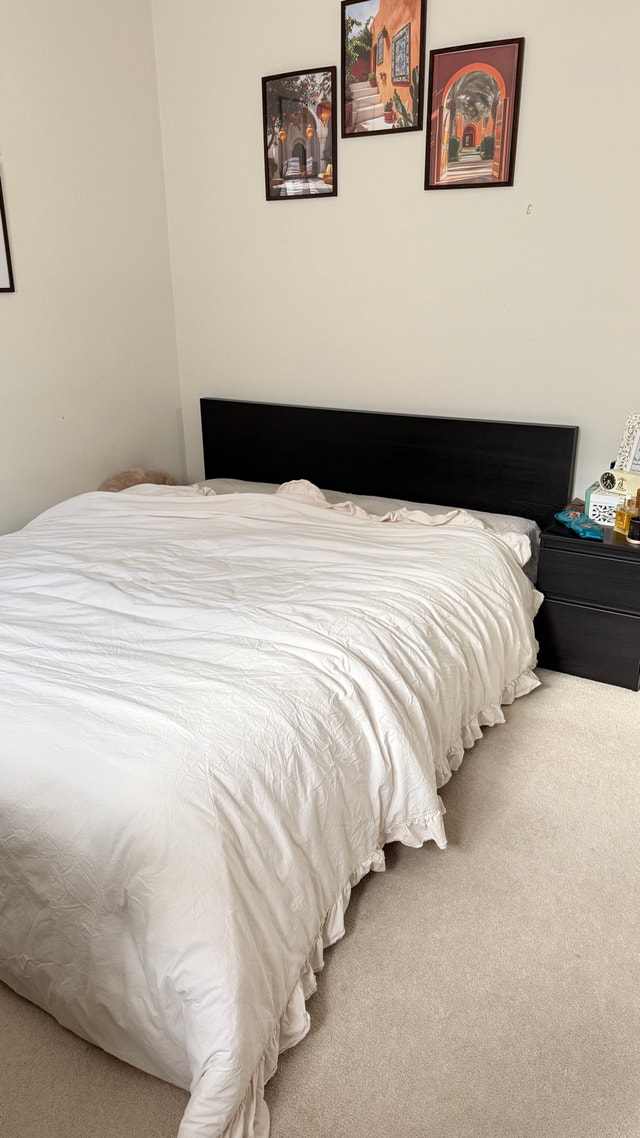 Queen Bed Frame No Box Spring Needed - photo 2