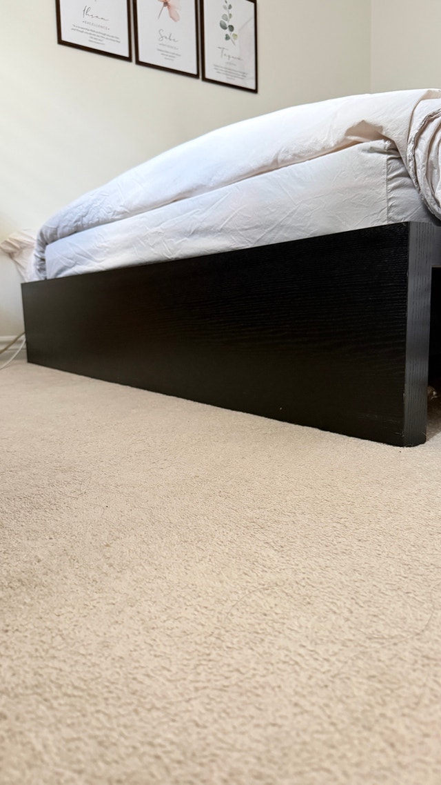 Queen Bed Frame No Box Spring Needed - photo 4