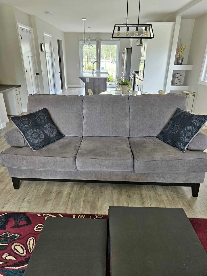 3 seat sofa and chair - Moving must go