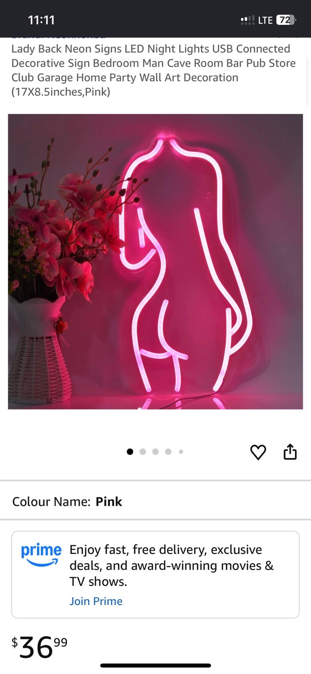 Lady Back LED Neon Sign Light – Brand New