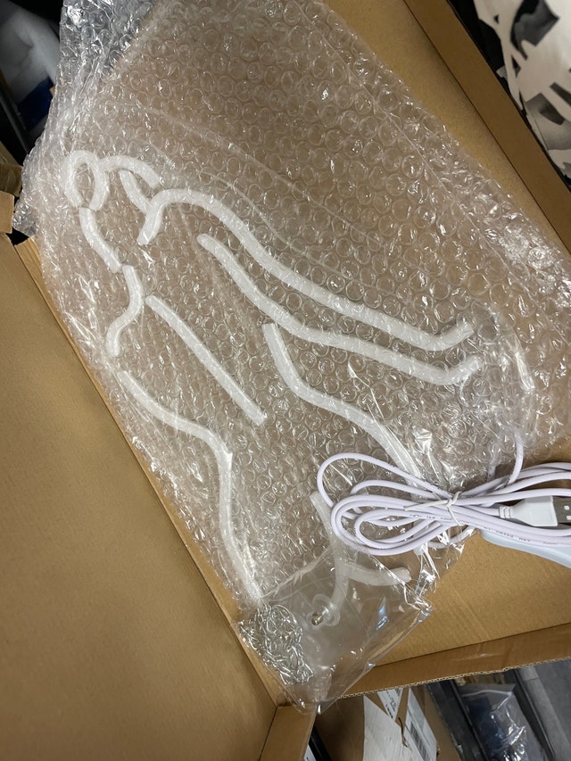 Lady Back LED Neon Sign Light – Brand New - photo 2