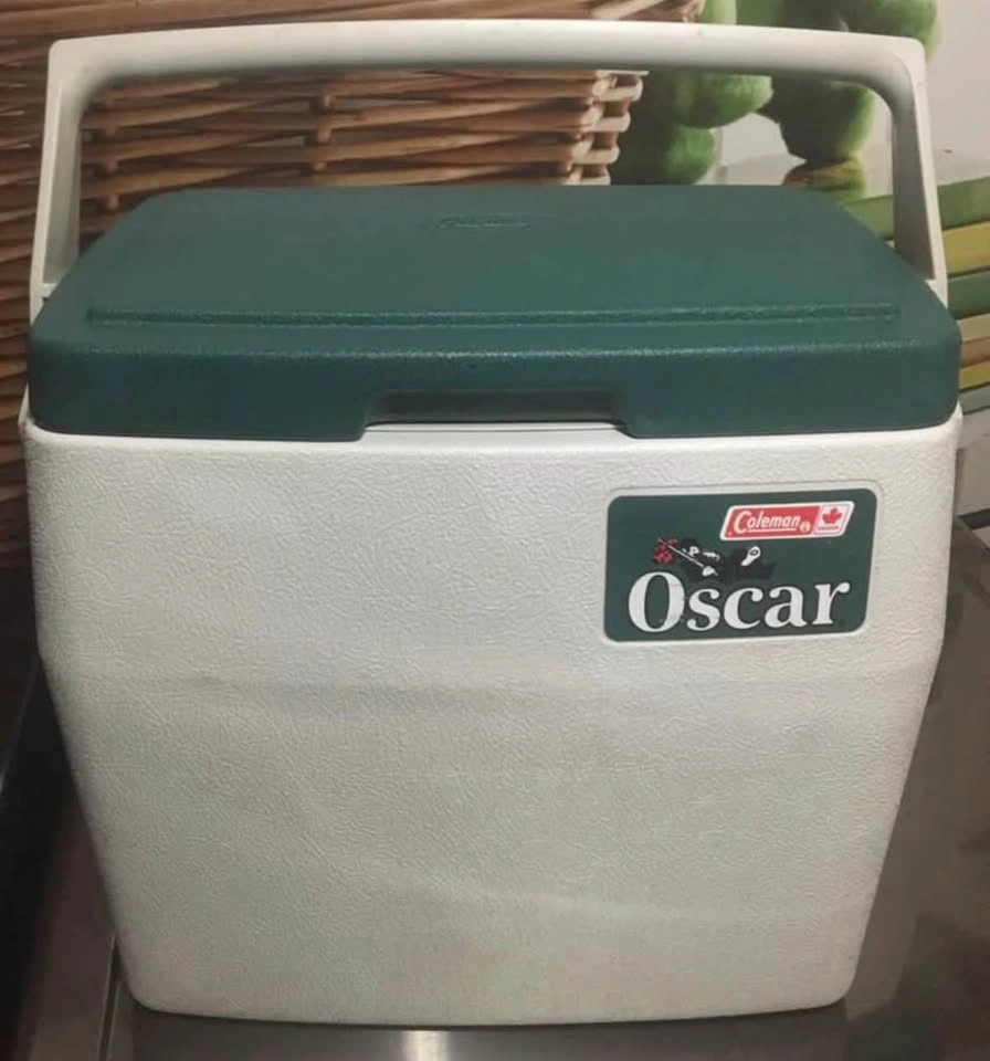 Coleman Oscar Cooler used condition - photo 4