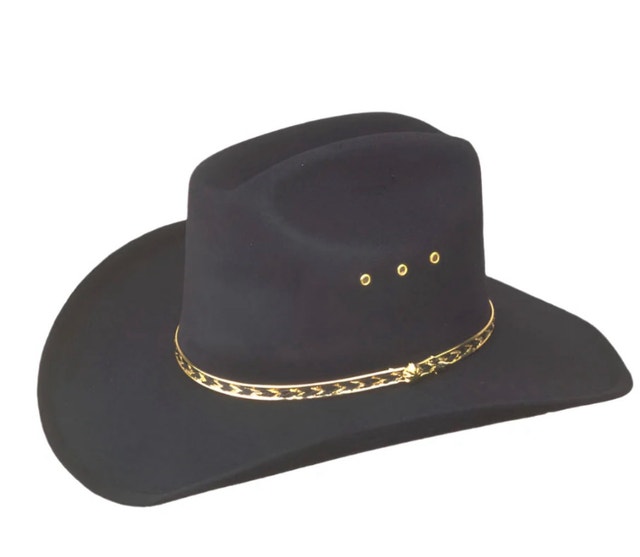 Brand New Lammle's Western Express Stampede Cowboy Hat - photo 5