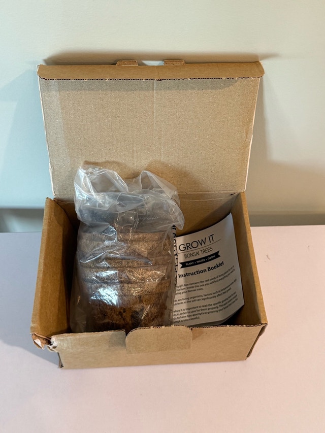 Grow Your Own Bonsai Kit - photo 2