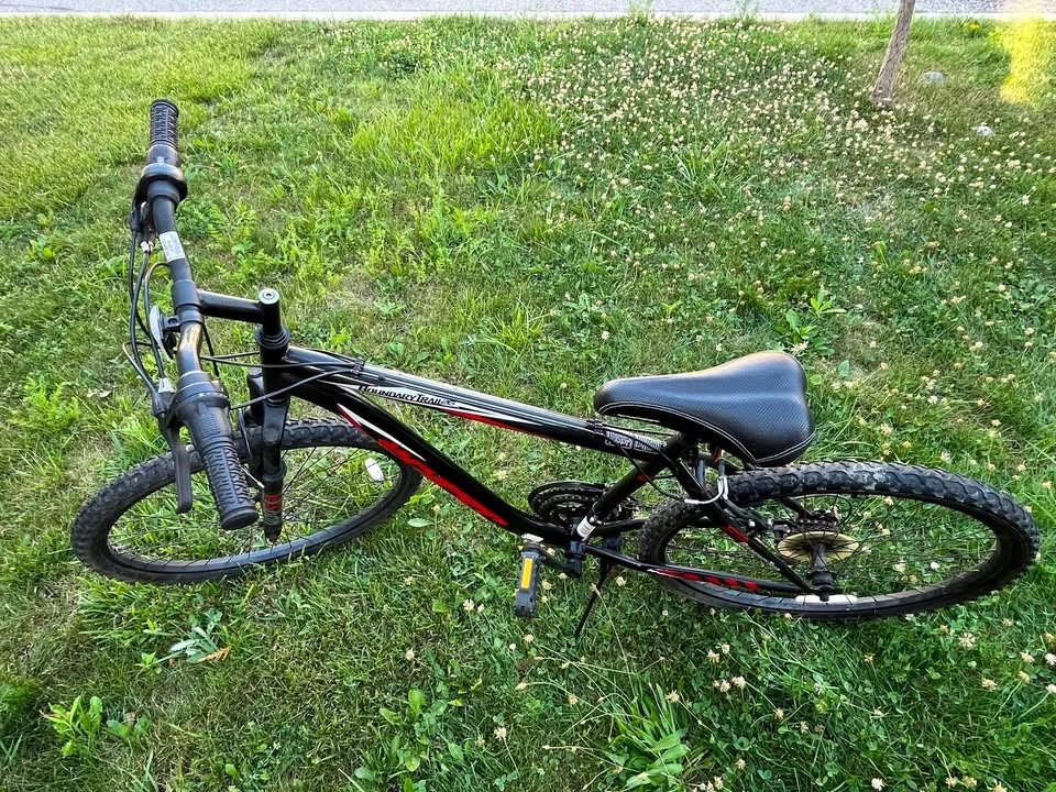 Mountain Bike - photo 2