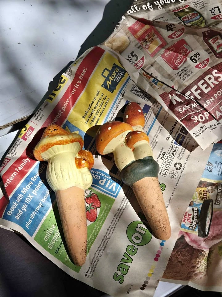 Mushroom Watering Spikes