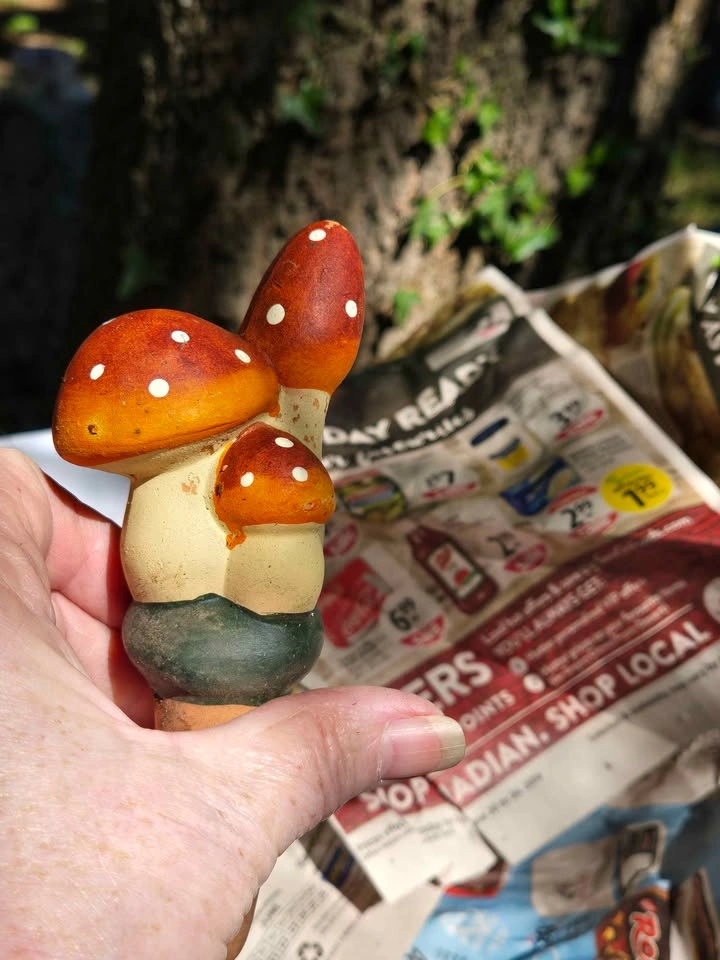 Mushroom Watering Spikes - photo 3