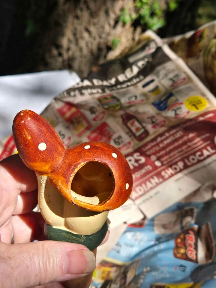 Mushroom Watering Spikes - photo 4