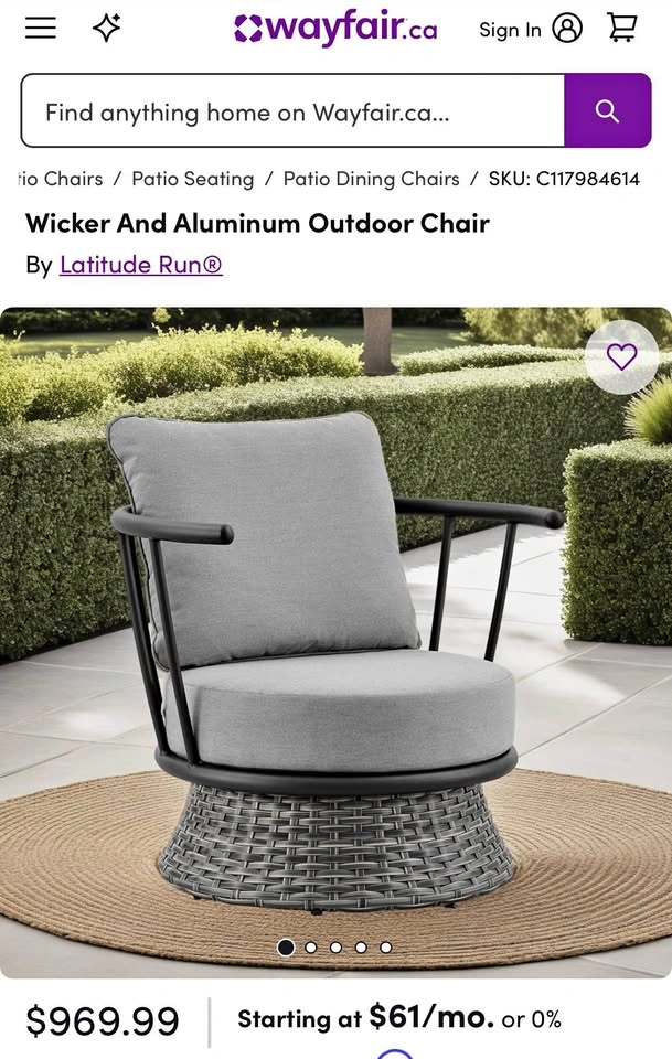 Latitude Run Wicker and Aluminum Outdoor Chair