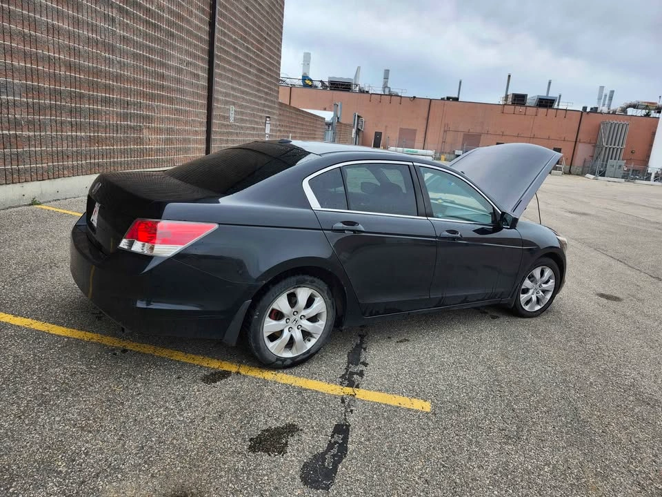 2009 Honda Accord - photo 5