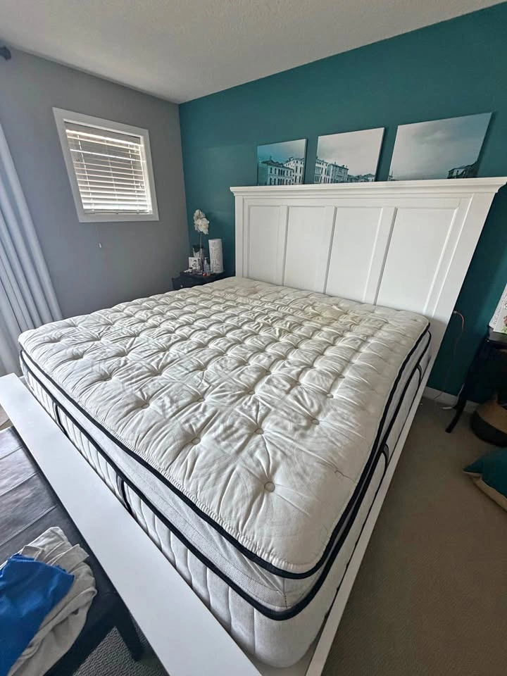Grand Luxe Sealy King Mattress