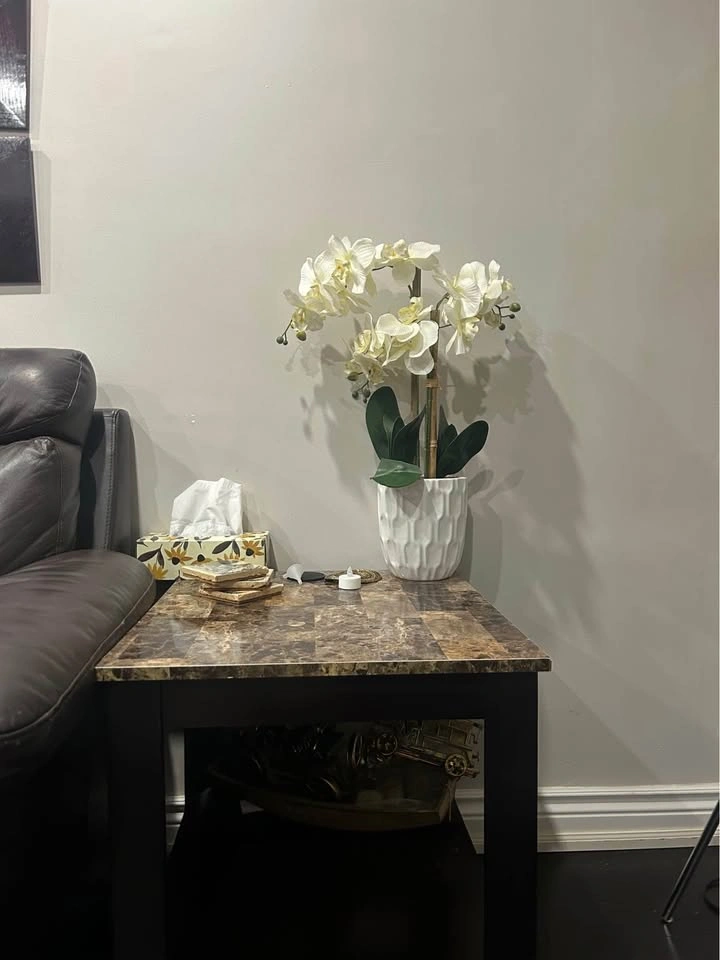 Marble coffee tables
