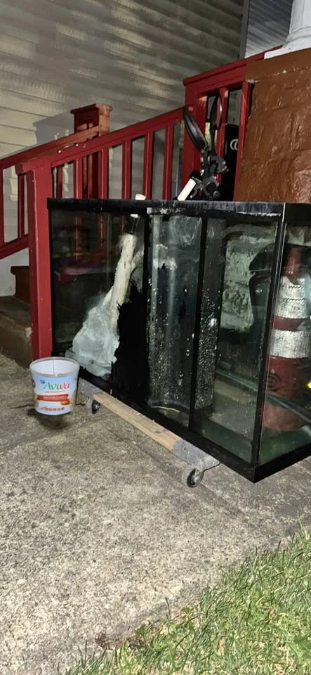 90 gal Bow Front Glass Aquarium with Stand