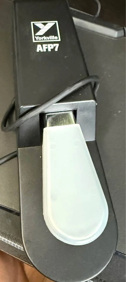 Sustain Pedal