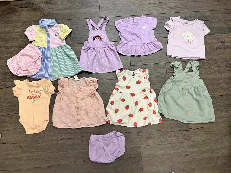 6-9 Month Baby Girl Clothes Bundle
