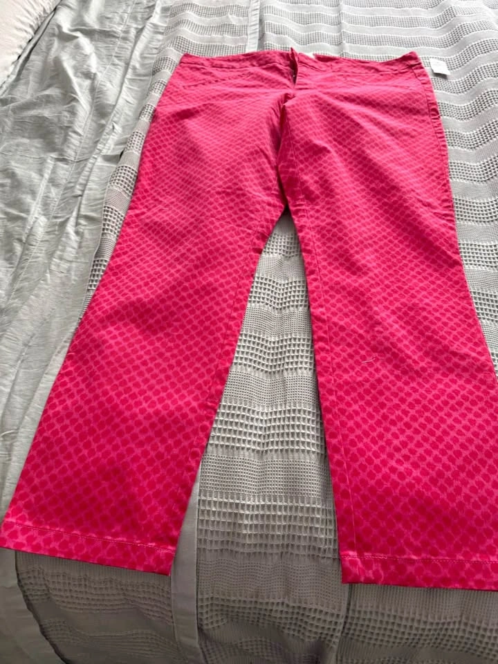 Women’s Pants size 12 by Gap Bre