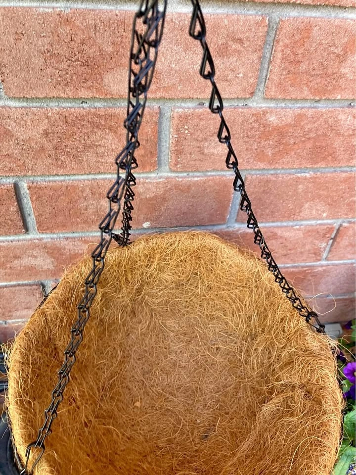 Hanging basket with coconut coir New