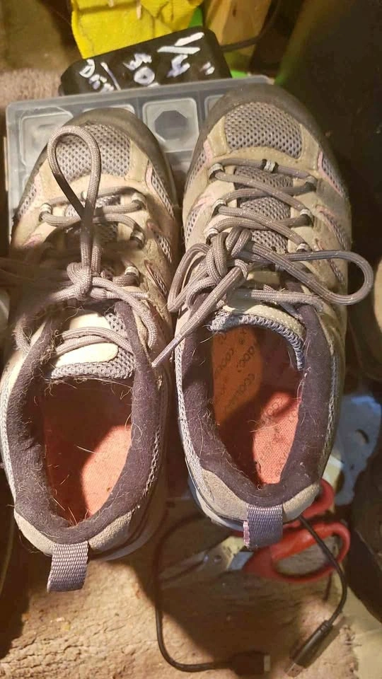 Size 7 women's shoes