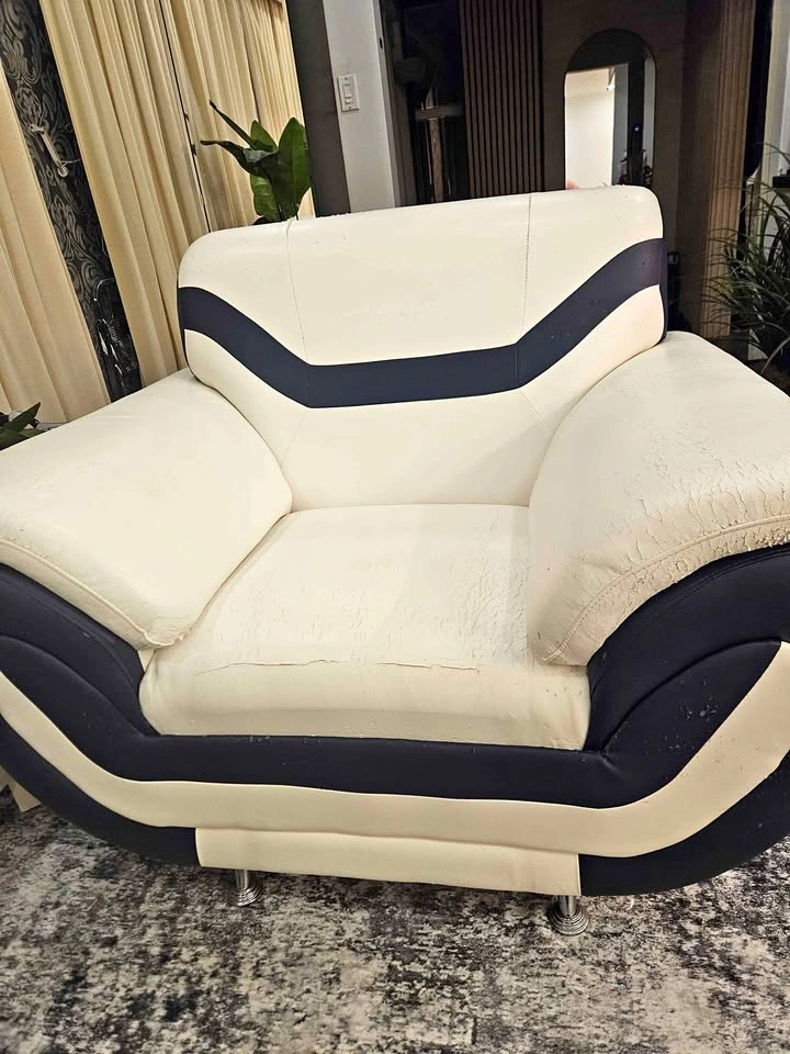 3 Piece Sofa Set with Cushions (WORN OUT)