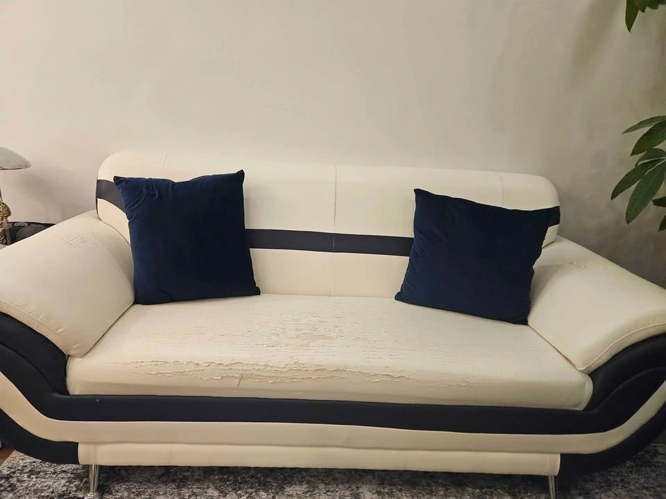3 Piece Sofa Set with Cushions (WORN OUT) - photo 3