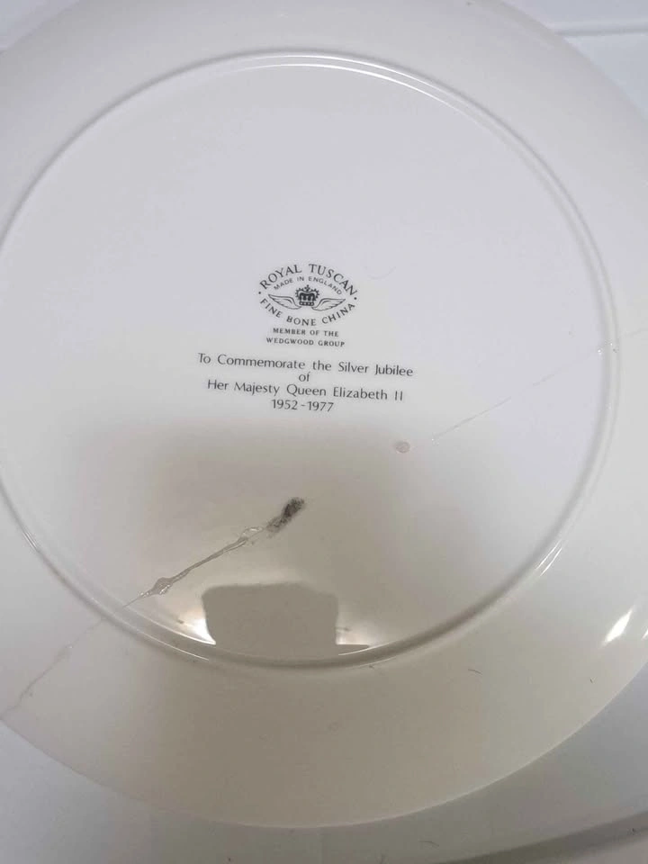 Royal Tuscan Queen Elizabeth II Silver Jubilee Plate - photo 2